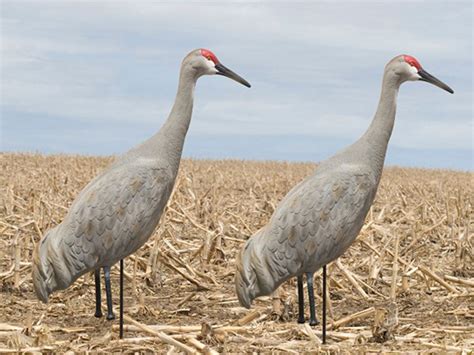 full body crane decoys.